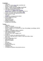 Konspekts 'Vēdersāpju biežākie iemesli bērniem', 3.