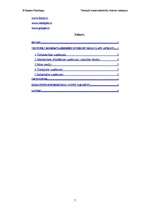 Referāts 'Ventspils komercsabiedrību interneta risinājumi', 5.