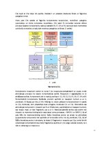 Referāts 'Komplements', 3.