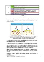 Referāts 'Komplements', 5.