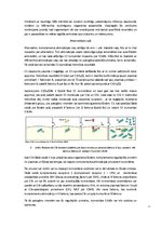 Referāts 'Komplements', 6.