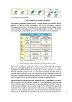 Referāts 'Komplements', 8.