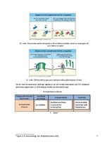 Referāts 'Komplements', 10.