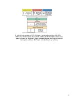 Referāts 'Komplements', 11.