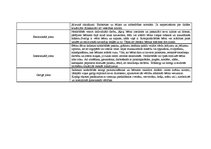 Prakses atskaite 'Bērnu pētījumu atspoguļojums', 5.