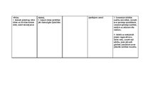 Prakses atskaite 'Bērnu pētījumu atspoguļojums', 9.