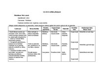 Prakses atskaite 'Bērnu pētījumu atspoguļojums', 10.