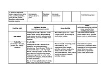 Prakses atskaite 'Bērnu pētījumu atspoguļojums', 11.