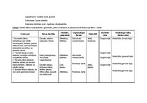 Prakses atskaite 'Bērnu pētījumu atspoguļojums', 13.