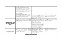 Prakses atskaite 'Bērnu pētījumu atspoguļojums', 15.