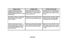 Prakses atskaite 'Bērnu pētījumu atspoguļojums', 16.