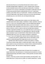 Referāts 'Skaņas viļņi', 13.