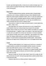 Referāts 'Skaņas viļņi', 14.