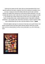 Konspekts 'Ziepju pielietošana dažādām vajadzībām', 3.