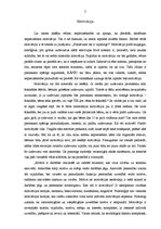 Referāts 'Mācību motivāciju veicinošie faktori mācību nodarbībā', 7.