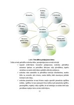 Diplomdarbs 'Pamatlīdzekļu uzskaite Saldus novada domē', 22.
