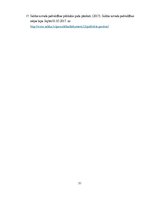 Diplomdarbs 'Pamatlīdzekļu uzskaite Saldus novada domē', 51.