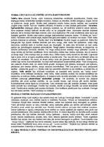 Konspekts 'Ārvalstu tiesību vēstures biļetes', 13.