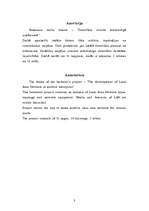 Referāts 'Datortīkla izveide mūsdienīgā uzņēmumā', 3.