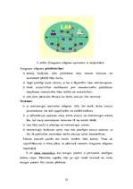 Referāts 'Datortīkla izveide mūsdienīgā uzņēmumā', 13.