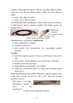 Referāts 'Datortīkla izveide mūsdienīgā uzņēmumā', 15.