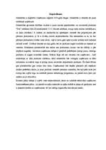 Biznesa plāns 'Biznesa plāns', 2.