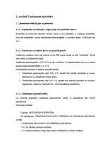 Biznesa plāns 'Biznesa plāns', 3.