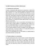 Biznesa plāns 'Biznesa plāns', 5.