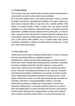 Biznesa plāns 'Biznesa plāns', 6.