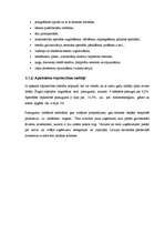 Biznesa plāns 'Biznesa plāns', 9.