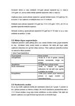 Biznesa plāns 'Biznesa plāns', 13.