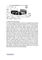 Biznesa plāns 'Biznesa plāns', 14.