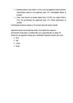 Biznesa plāns 'Biznesa plāns', 19.