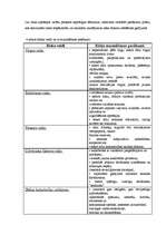 Biznesa plāns 'Biznesa plāns', 23.