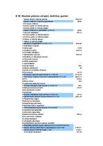 Biznesa plāns 'Biznesa plāns', 30.