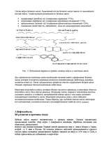Referāts 'Нефть', 13.
