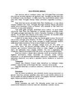 Konspekts 'Indija', 2.