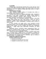 Konspekts 'Indija', 13.