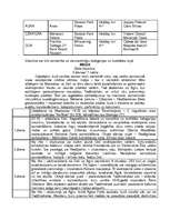 Konspekts 'Indija', 19.