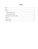 Referāts 'Cirkulāras polarizācijas antenas', 2.