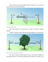 Referāts 'Cirkulāras polarizācijas antenas', 8.