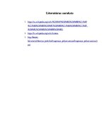 Referāts 'Cirkulāras polarizācijas antenas', 12.