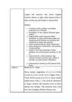 Referāts 'Būvtehniķa kvalifikācijas darbs', 6.