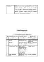Referāts 'Būvtehniķa kvalifikācijas darbs', 8.