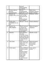 Referāts 'Būvtehniķa kvalifikācijas darbs', 9.