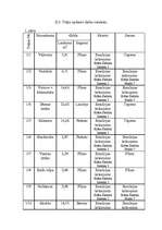 Referāts 'Būvtehniķa kvalifikācijas darbs', 20.