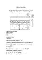 Referāts 'Būvtehniķa kvalifikācijas darbs', 22.