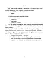 Referāts 'Mārketinga vides analīze uzņēmumā "Fazer-Druva"', 2.