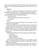 Referāts 'Mārketinga vides analīze uzņēmumā "Fazer-Druva"', 7.