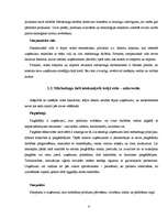 Referāts 'Mārketinga vides analīze uzņēmumā "Fazer-Druva"', 8.